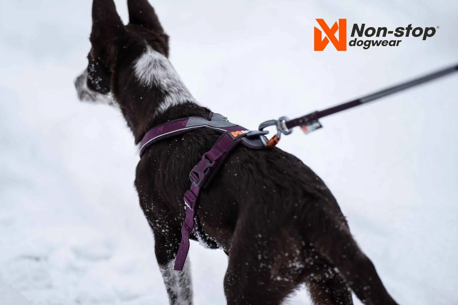 Non-stop Dogwear Line Harness 5.0 reflective detail