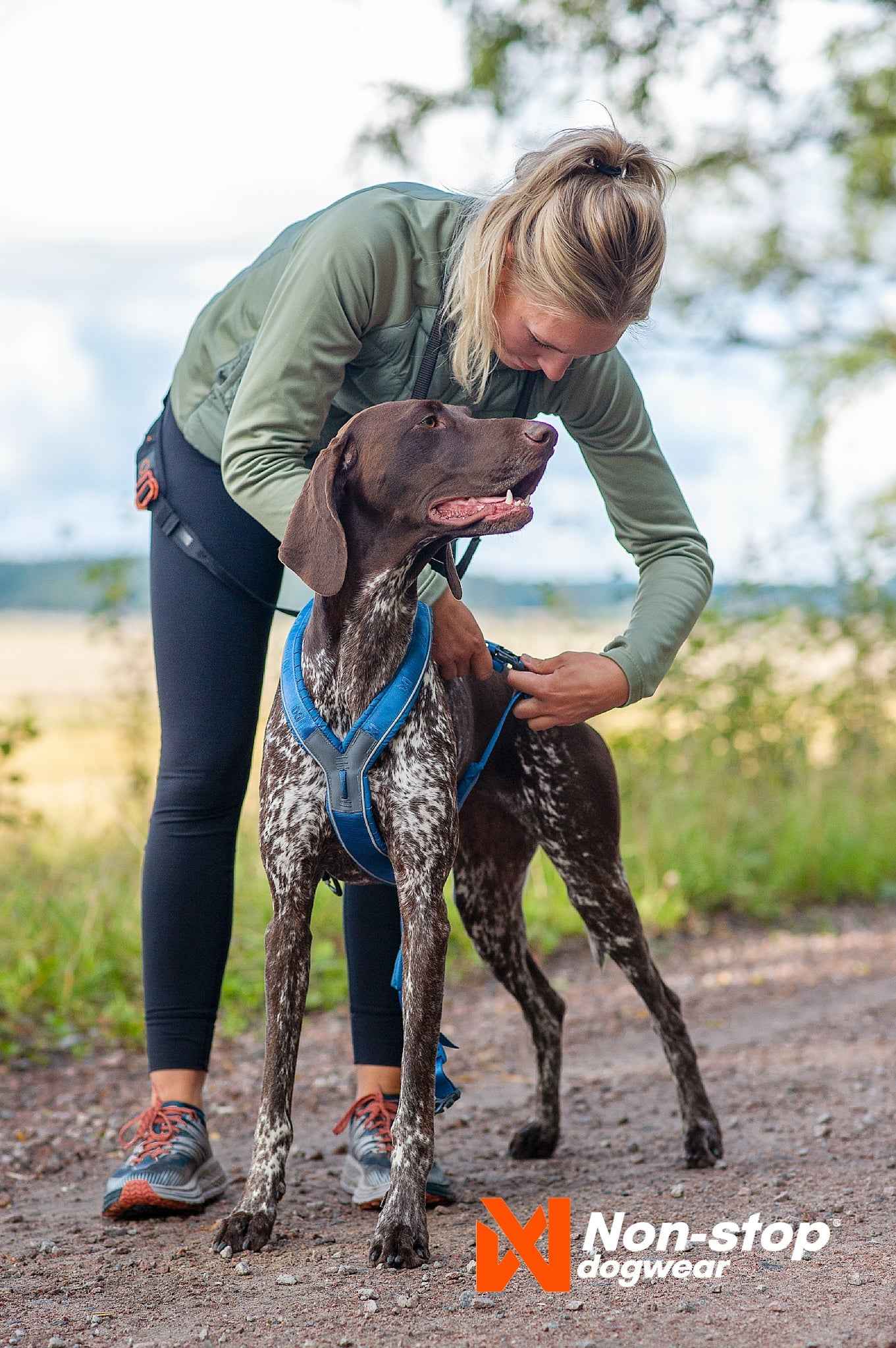 non-stop dogwear line harness 5.0
