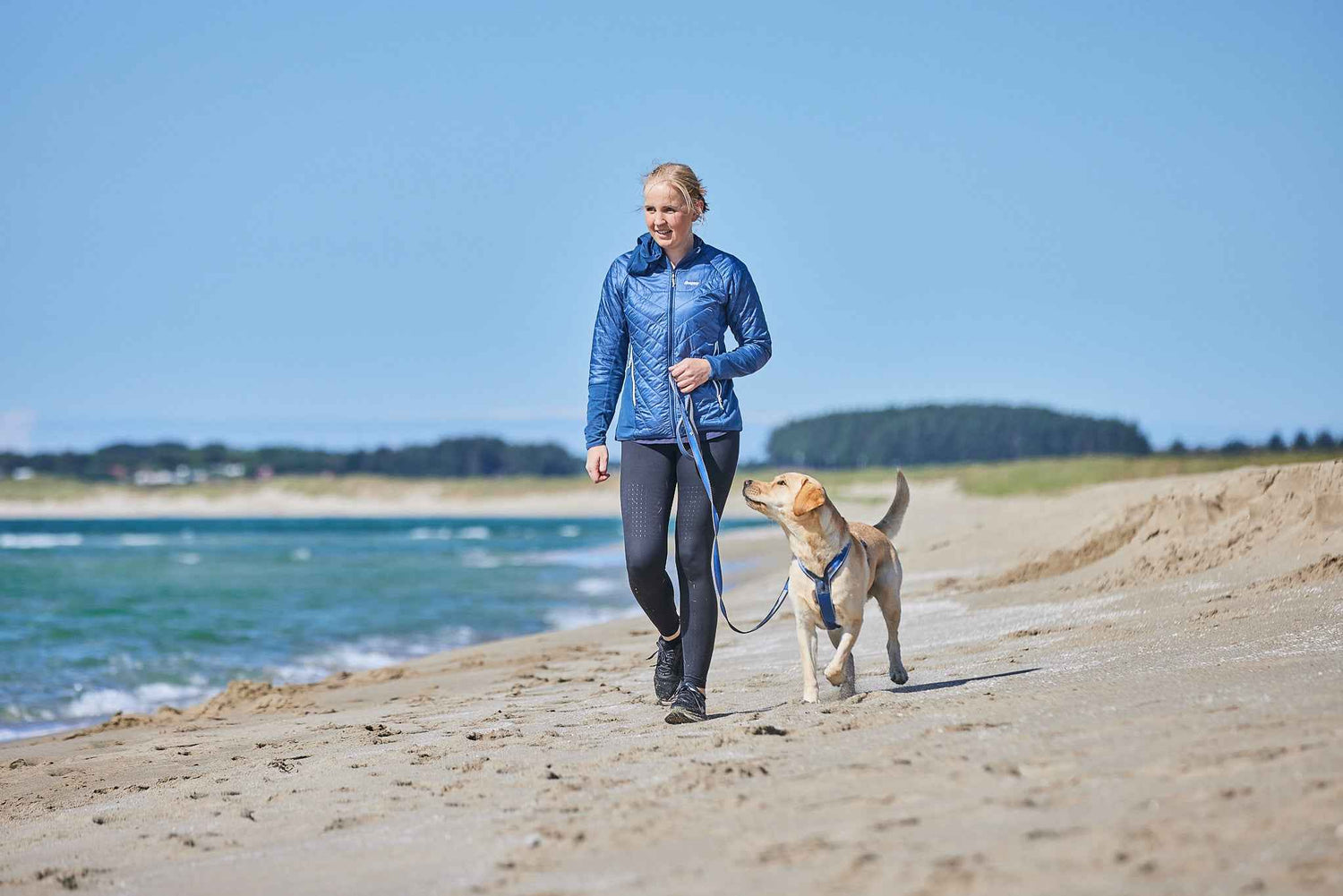 non-stop dogwear line harness 5.0