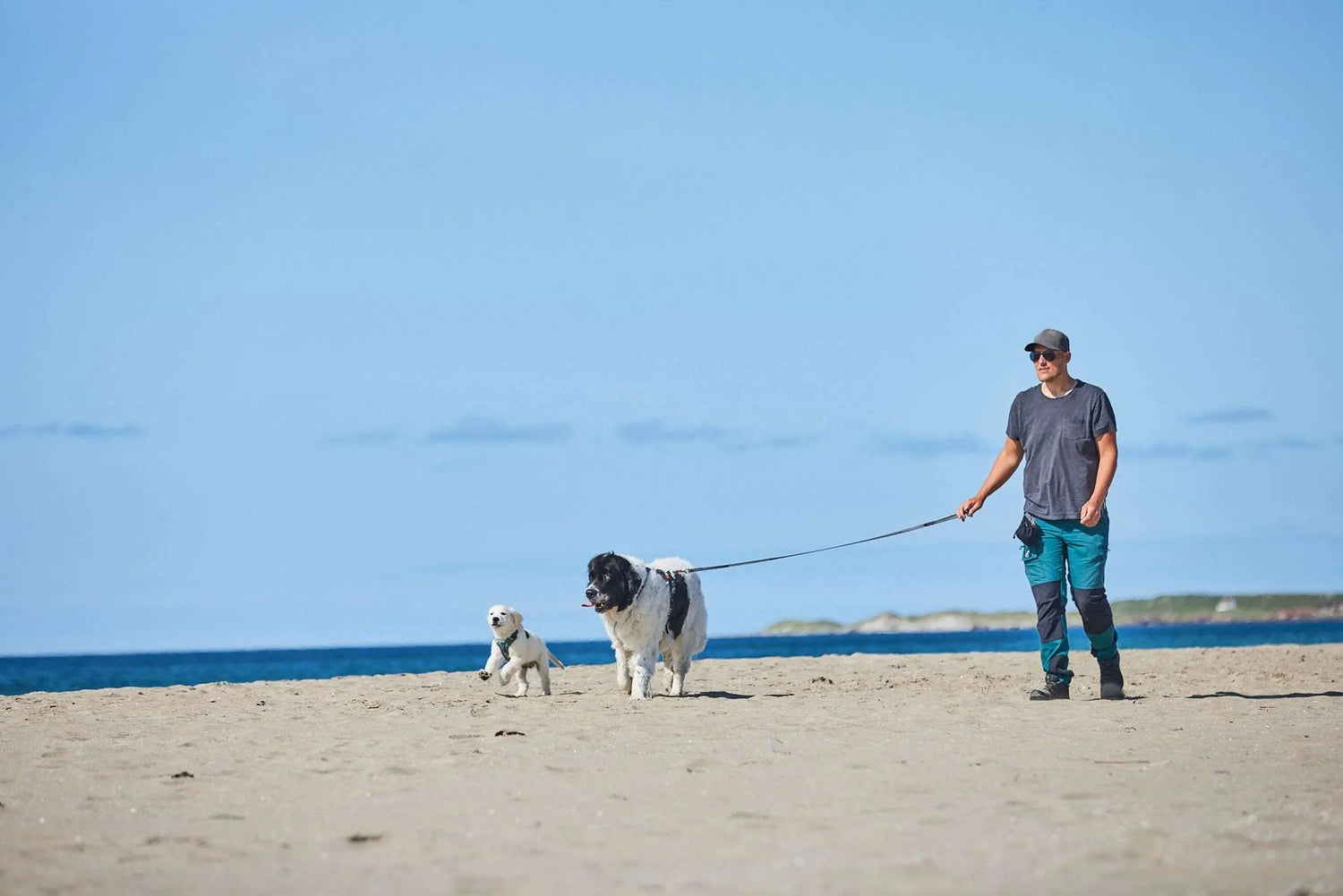 non-stop dogwear Move leash