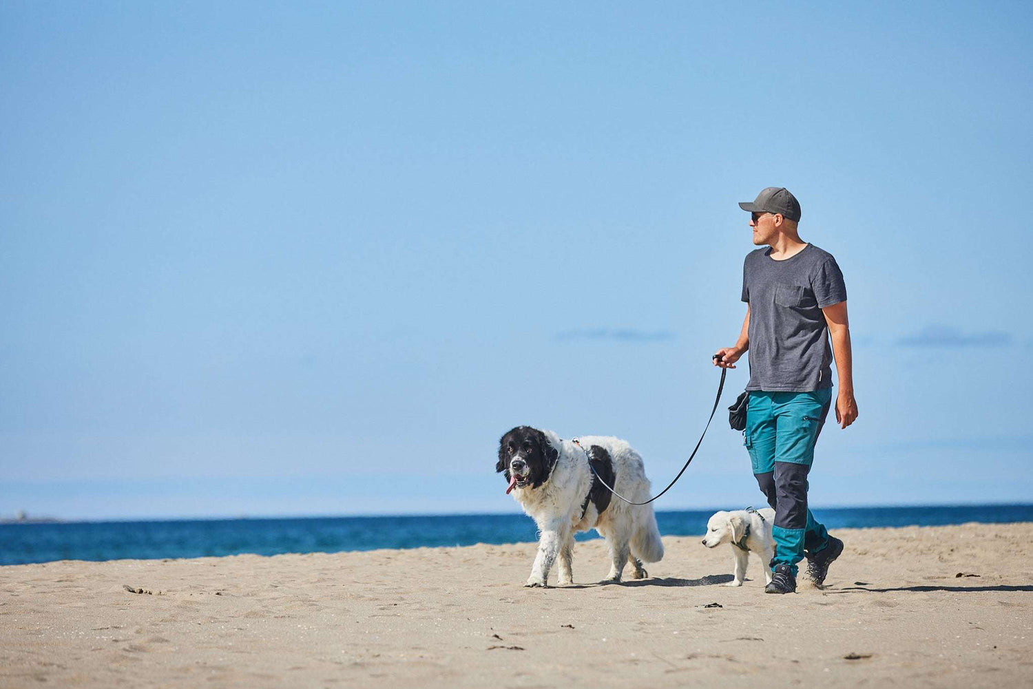 non-stop dogwear Move leash