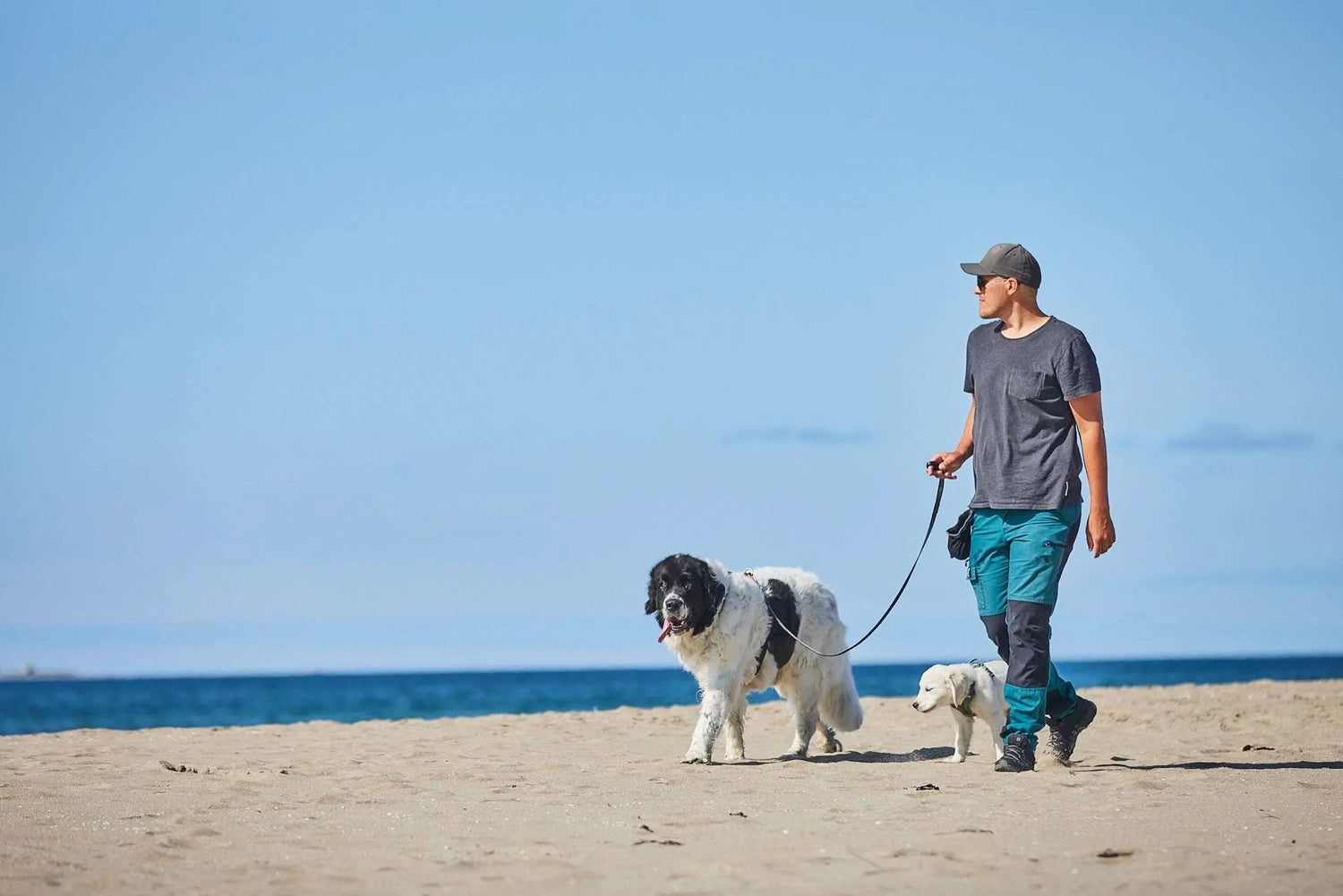 non-stop dogwear Move leash