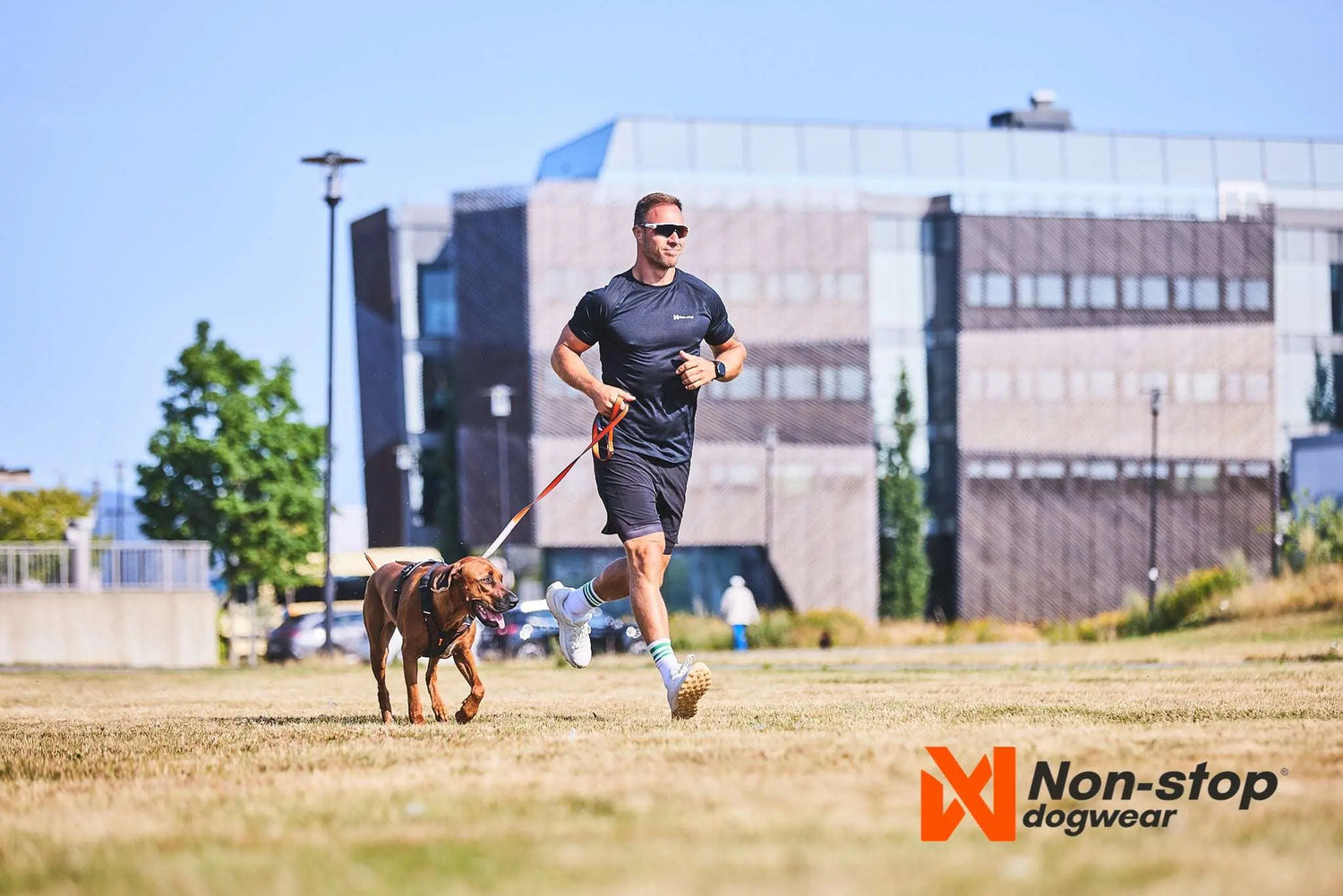 non-stop dogwear Move leash