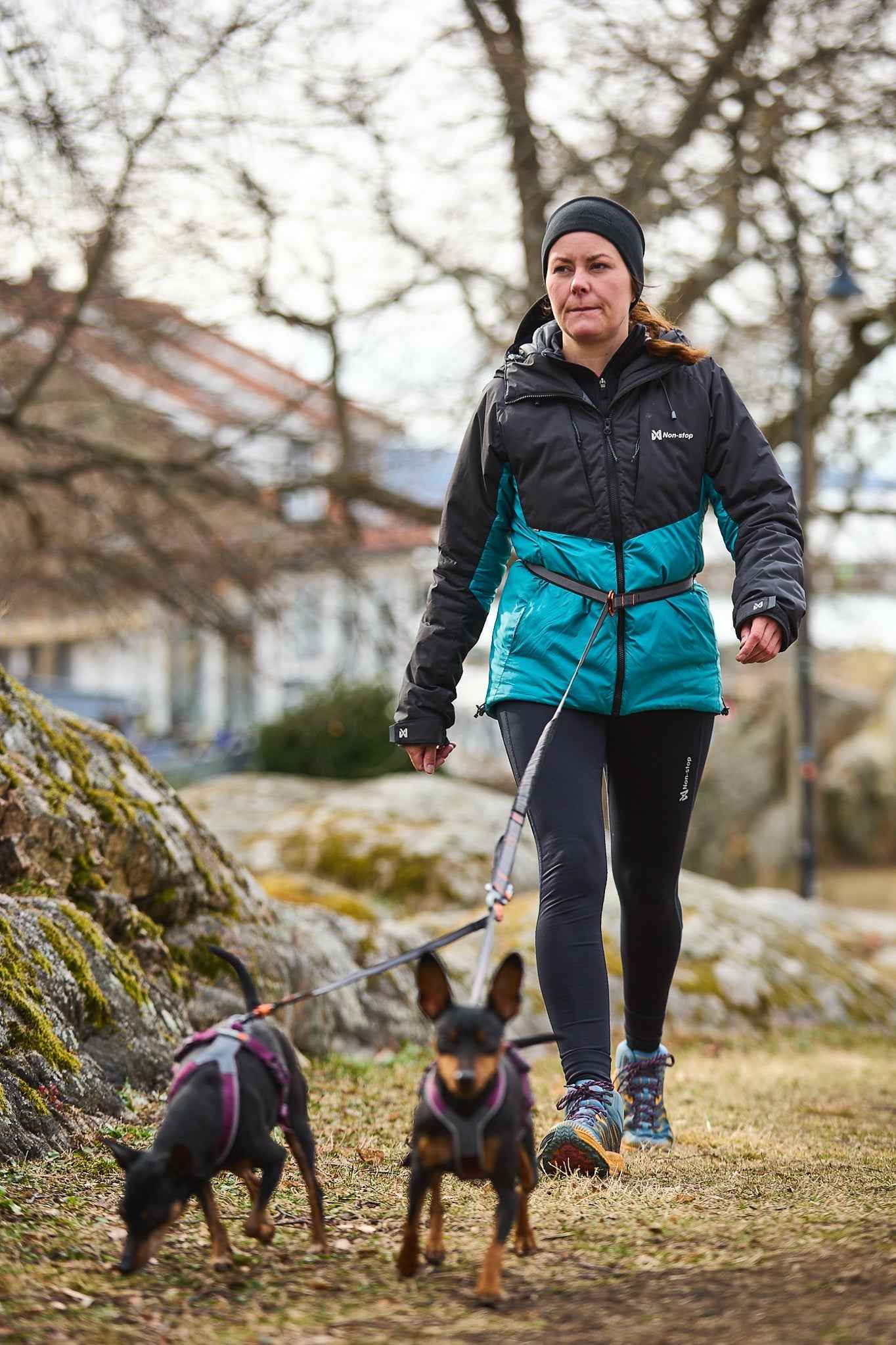 Non-stop dogwear Touring bungee adjustable