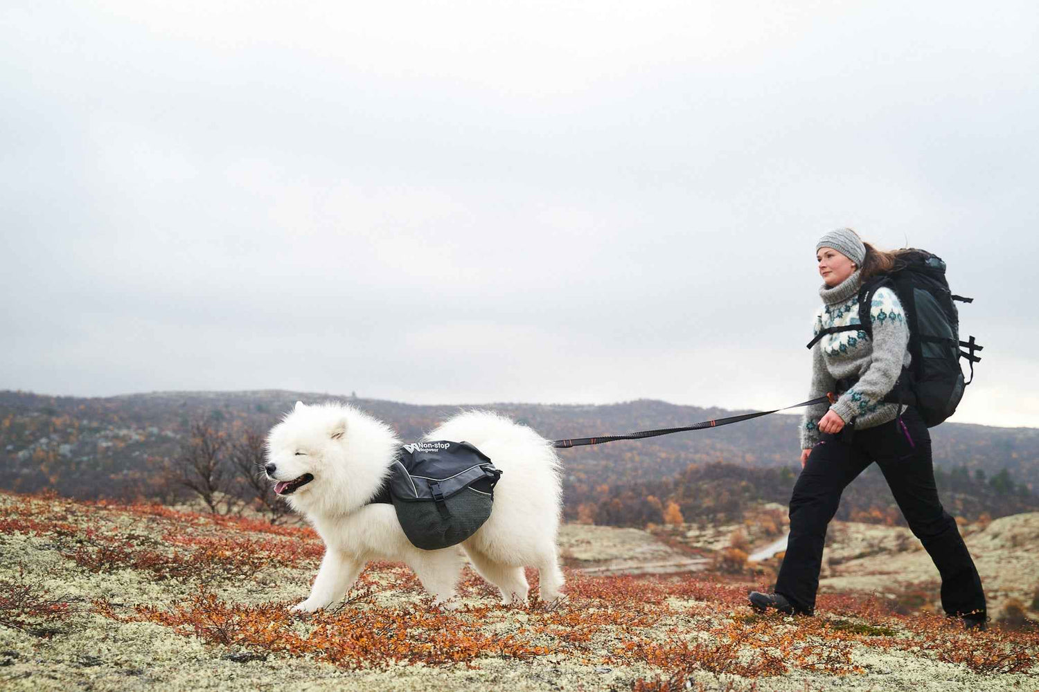 Non-stop dogwear Touring bungee adjustable
