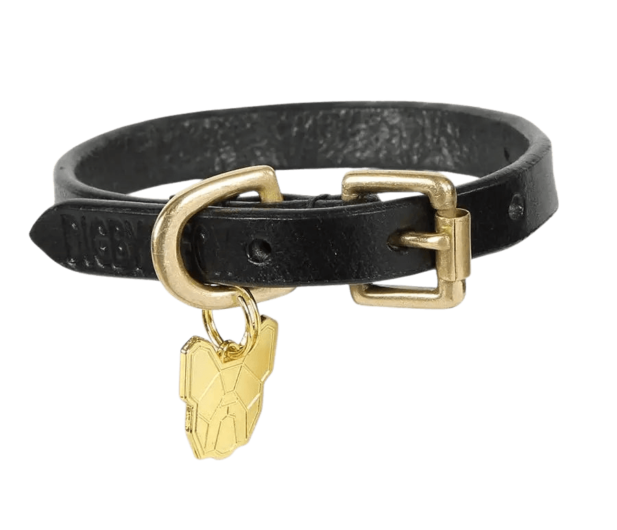Black Digby & Fox Flat Leather Dog Collar featuring brass buckle, D-ring, and gold dog tag, perfect for durable pet accessories.