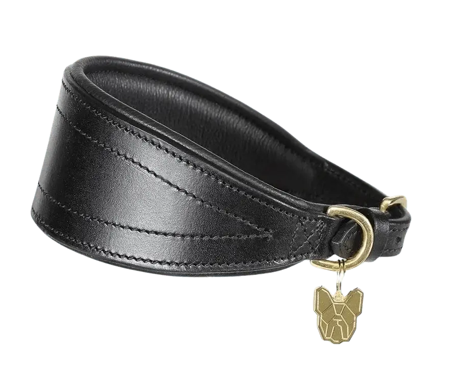 Digby & Fox Padded Greyhound Collar in black leather with brass hardware and tapered design for sighthound comfort and style.