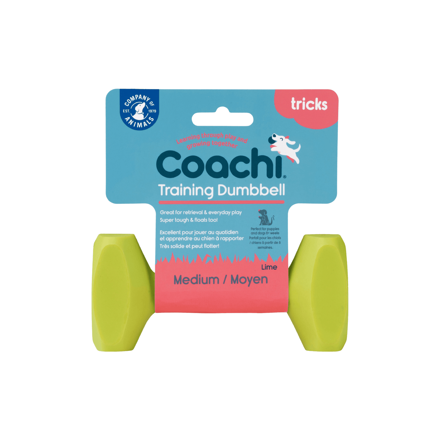 CoA Coachi Training Dumbbell medium