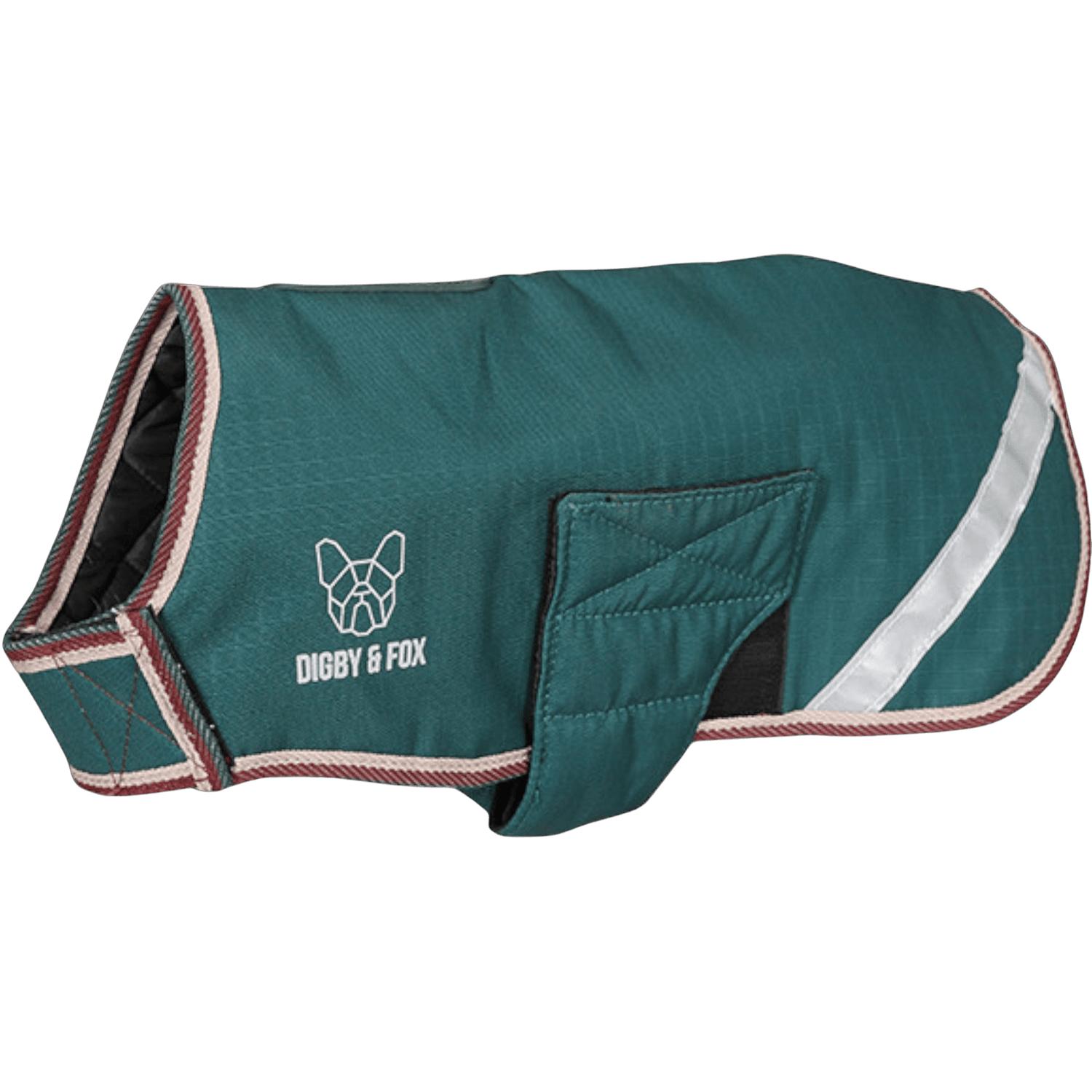 Green Digby & Fox Waterproof Dog Coat with contrasting trim and reflective detailing, offering cozy protection for dogs in wet and chilly conditions.