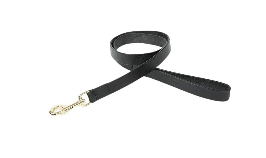 Black Digby & Fox Flat Leather Dog Lead featuring a sturdy brass clasp and smooth leather finish for secure and stylish pet handling.