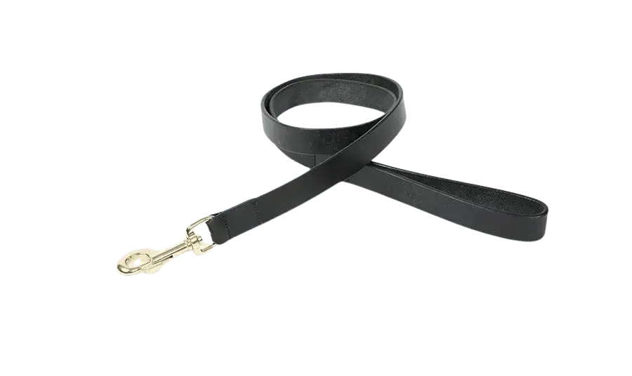 Black Digby & Fox Flat Leather Dog Lead featuring a sturdy brass clasp and smooth leather finish for secure and stylish pet handling.