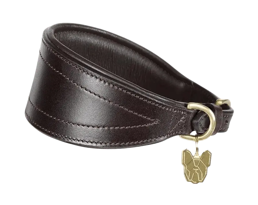 Dark brown Digby & Fox Padded Greyhound Collar featuring soft leather padding and brass fittings for elegant pet wear.