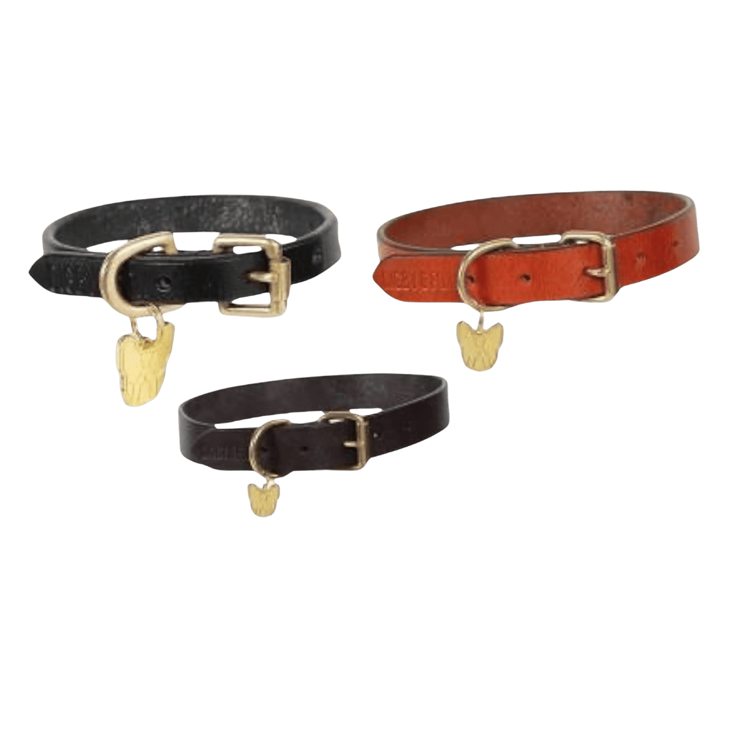 Digby & Fox Flat Leather Dog Collar in black, brown, and tan with brass fittings and gold dog tag, ideal for stylish pet wear.