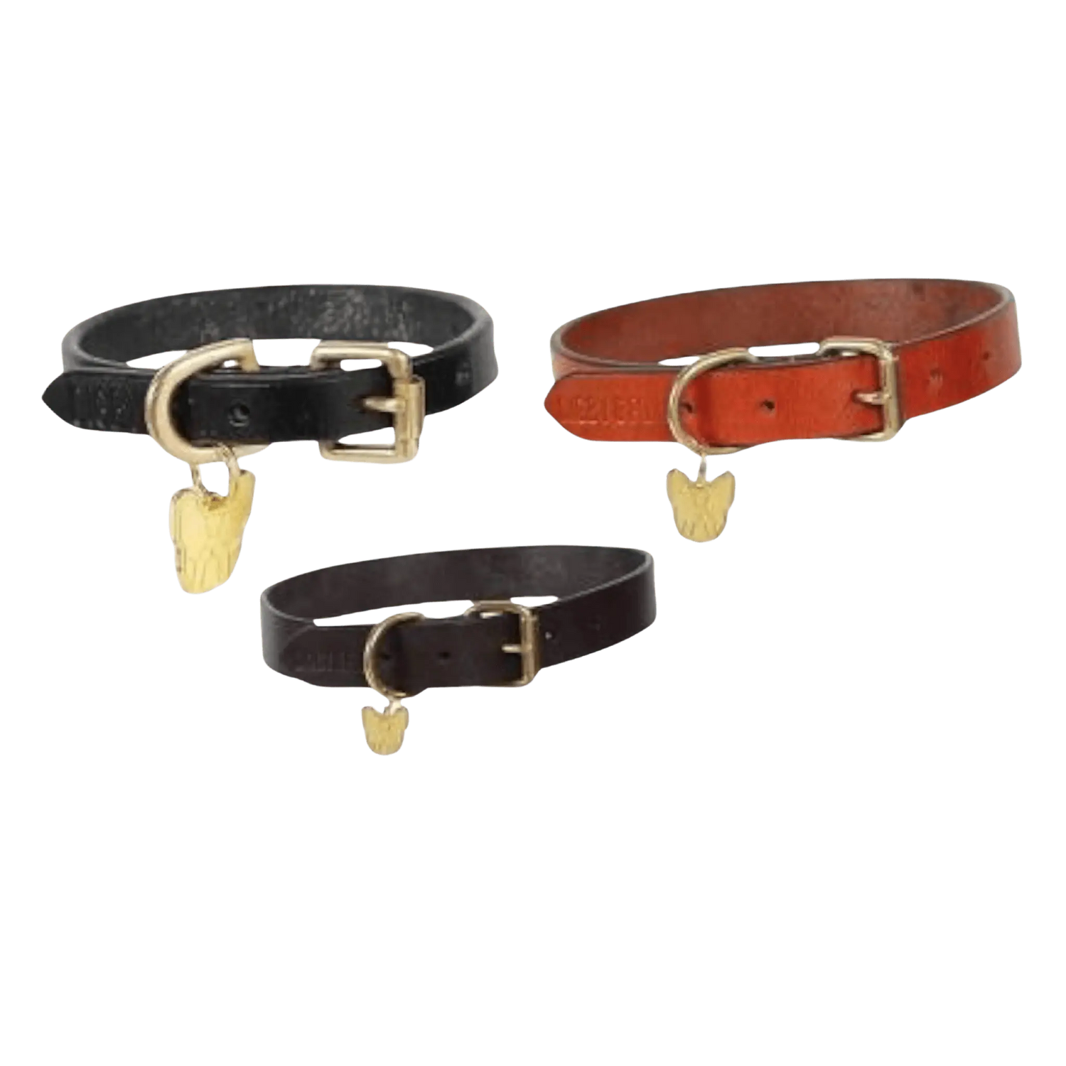 Digby & Fox Flat Leather Dog Collar in black, brown, and tan with brass fittings and gold dog tag, ideal for stylish pet wear.