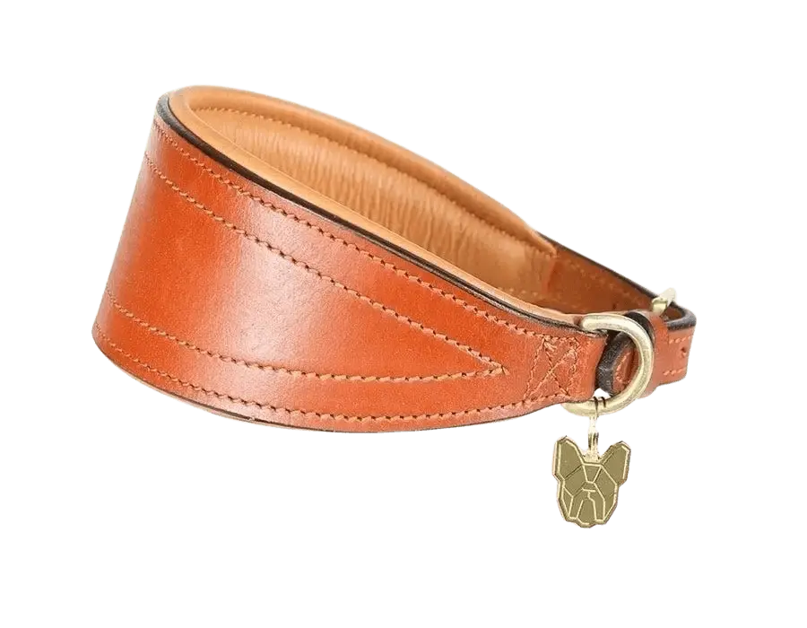 Tan Digby & Fox Padded Greyhound Collar with cushioned leather interior and brass charm, designed for sighthound comfort and durability.