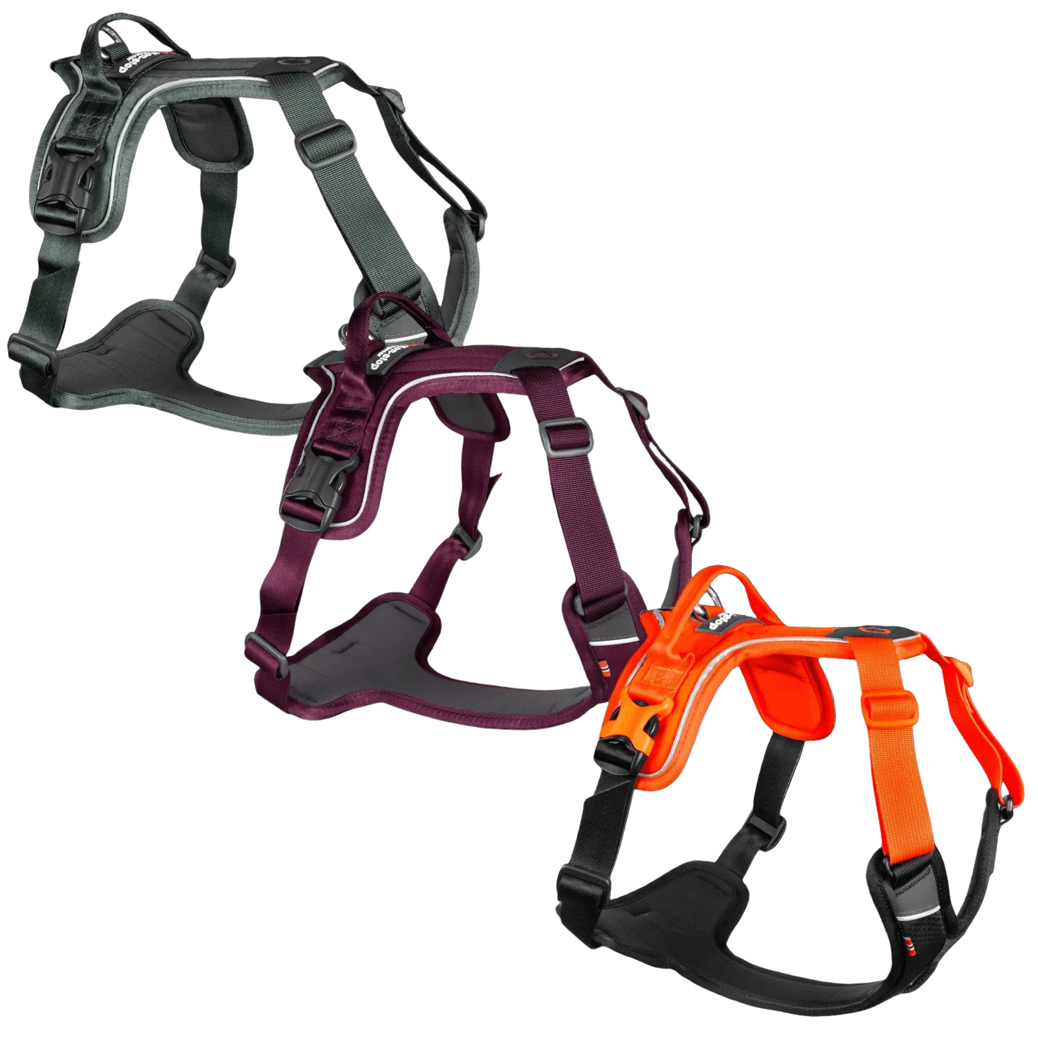 Non-stop Dogwear Ramble Harness adjustable dog harness
