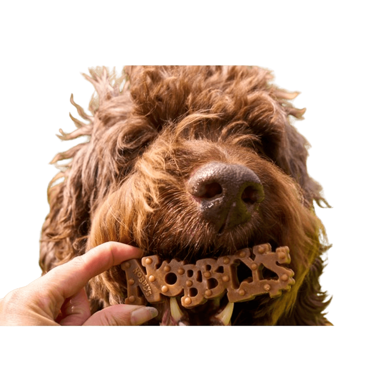 Nobblys Original Peanut Butter Dog Chew