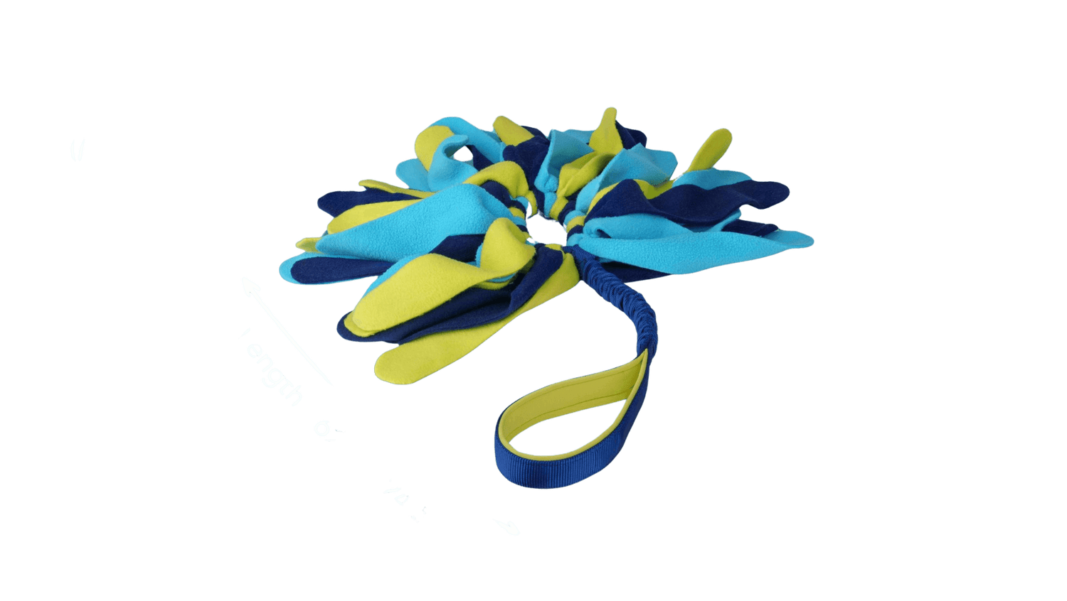 CoA Coachi Tuggi Spider