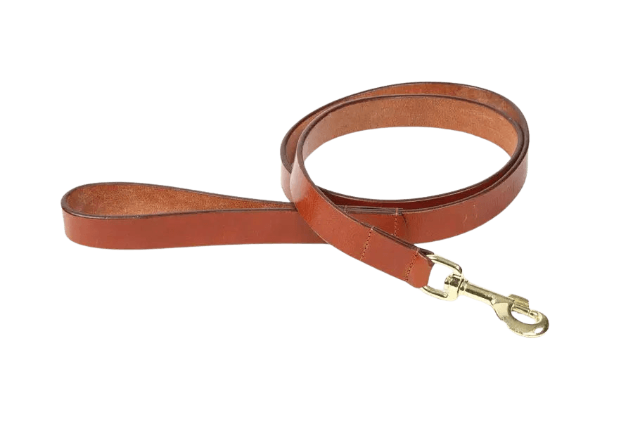 Tan Digby & Fox Flat Leather Dog Lead crafted from high-quality leather with a brass clip, ideal for fashionable and reliable dog walks.