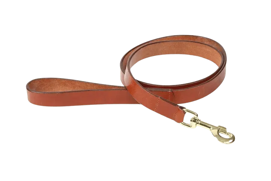 Tan Digby & Fox Flat Leather Dog Lead crafted from high-quality leather with a brass clip, ideal for fashionable and reliable dog walks.