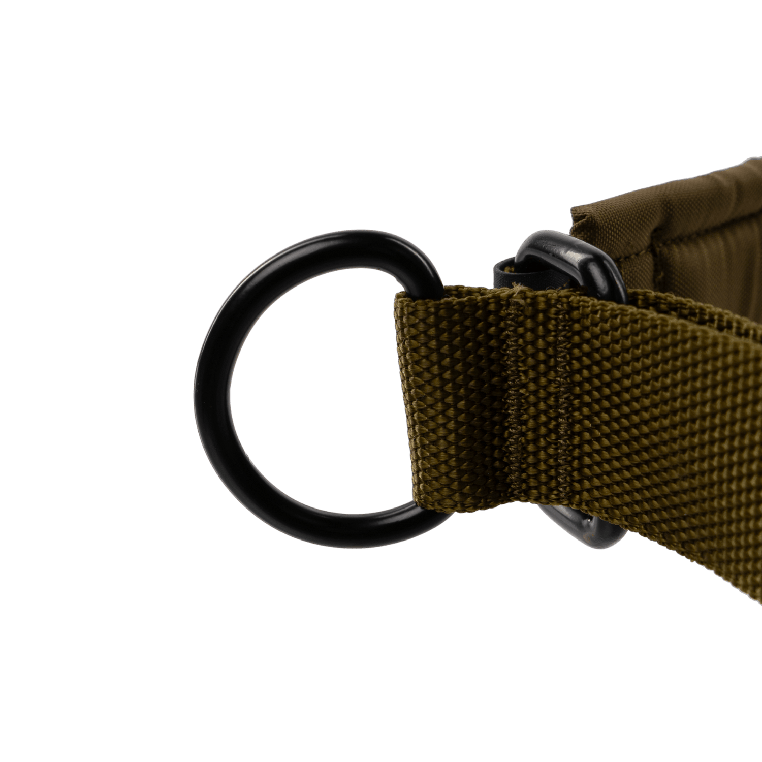 Solid working dog Collar features 2