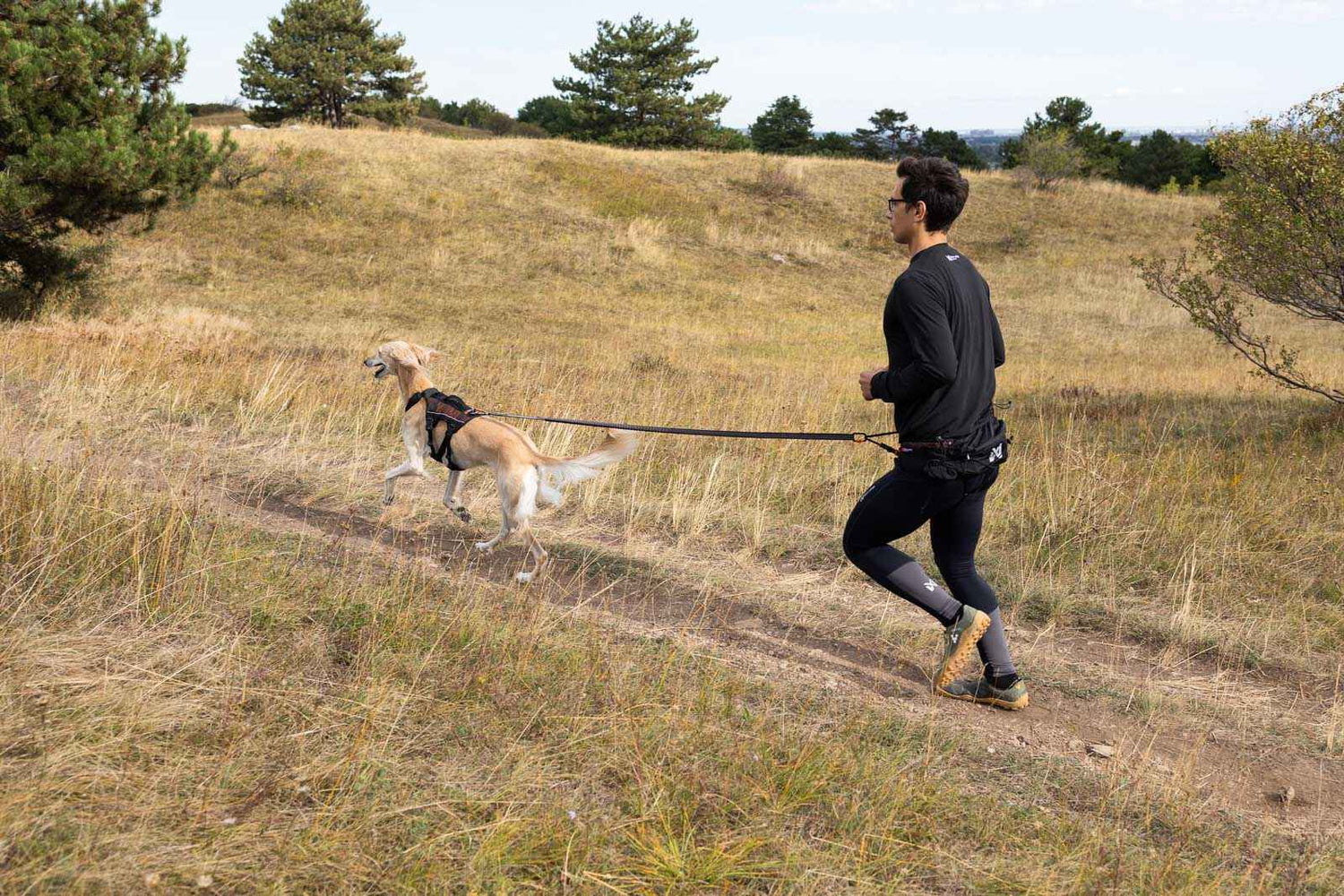 Non-stop Dogwear Trail light belt screw-lock carabiner gliding front connection
