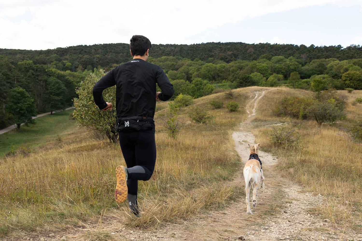 Non-stop dogwear Trail light belt