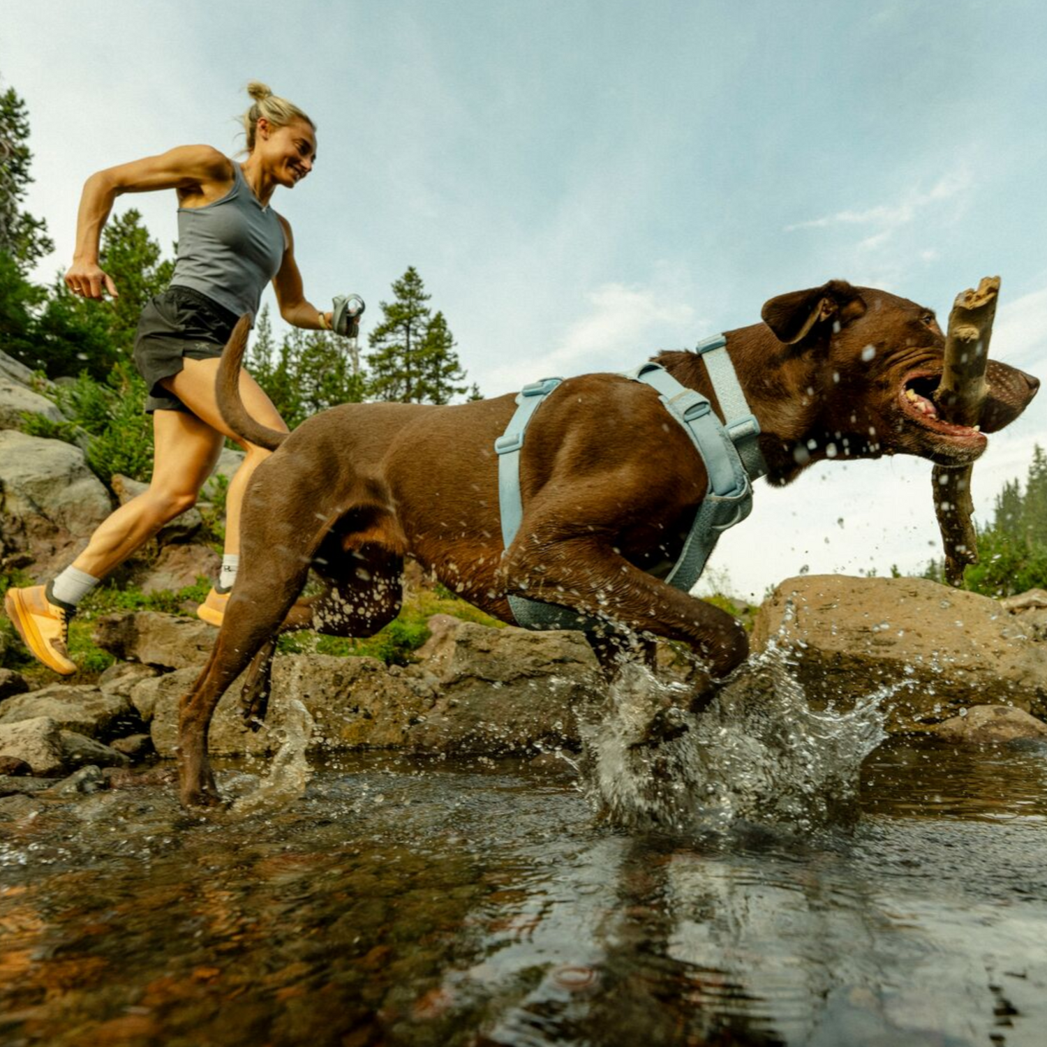 Ruffwear Front Range™ Flex Collar