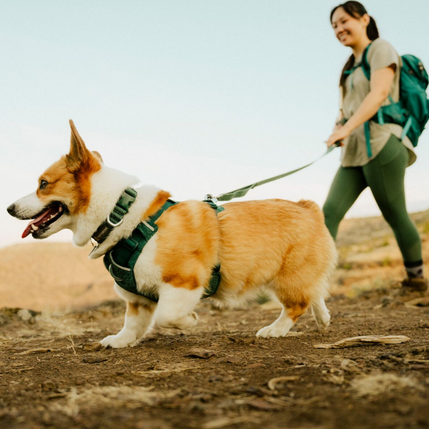 Ruffwear Front Range™ Flex Collar