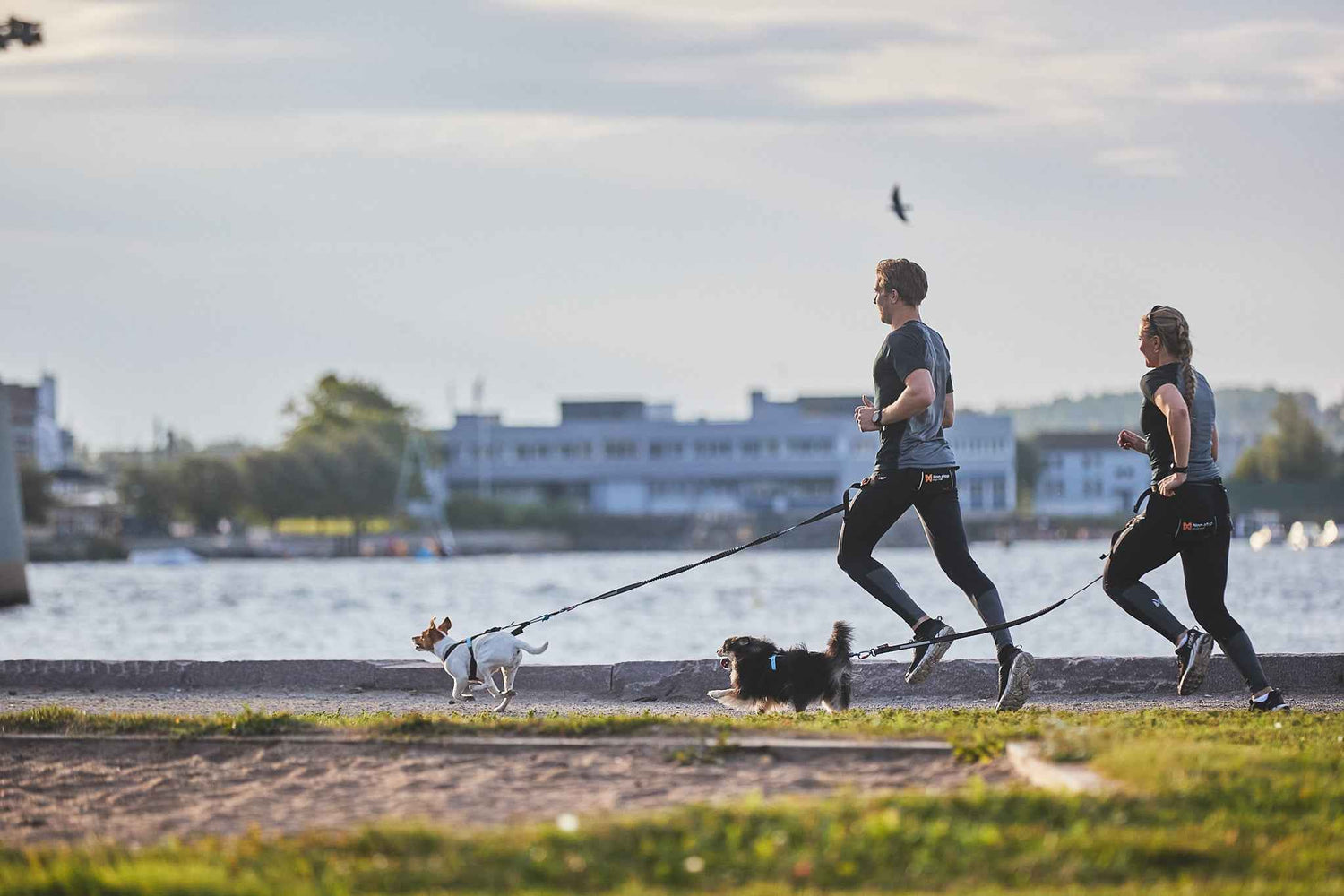 Non-stop Dogwear Touring bungee leash outdoor walking with dog
