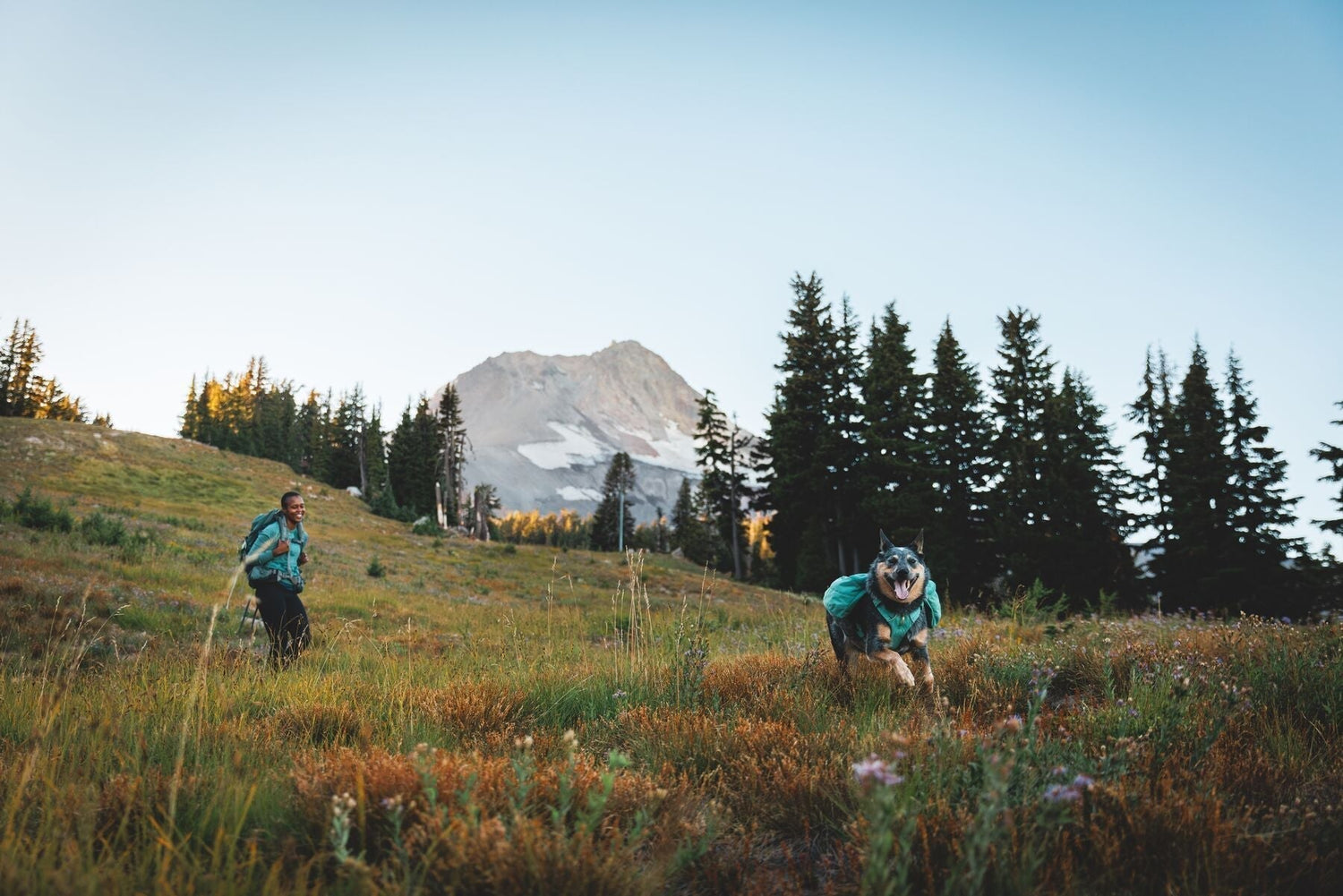 Hiking With Your Dog: Choosing the Right Ruffwear Gear for the Trail