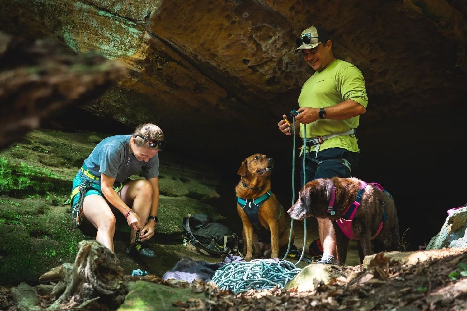 Everyday Dog Walking Gear: Ruffwear Harnesses, Leads & Collars Explained - Wiggle and Wag