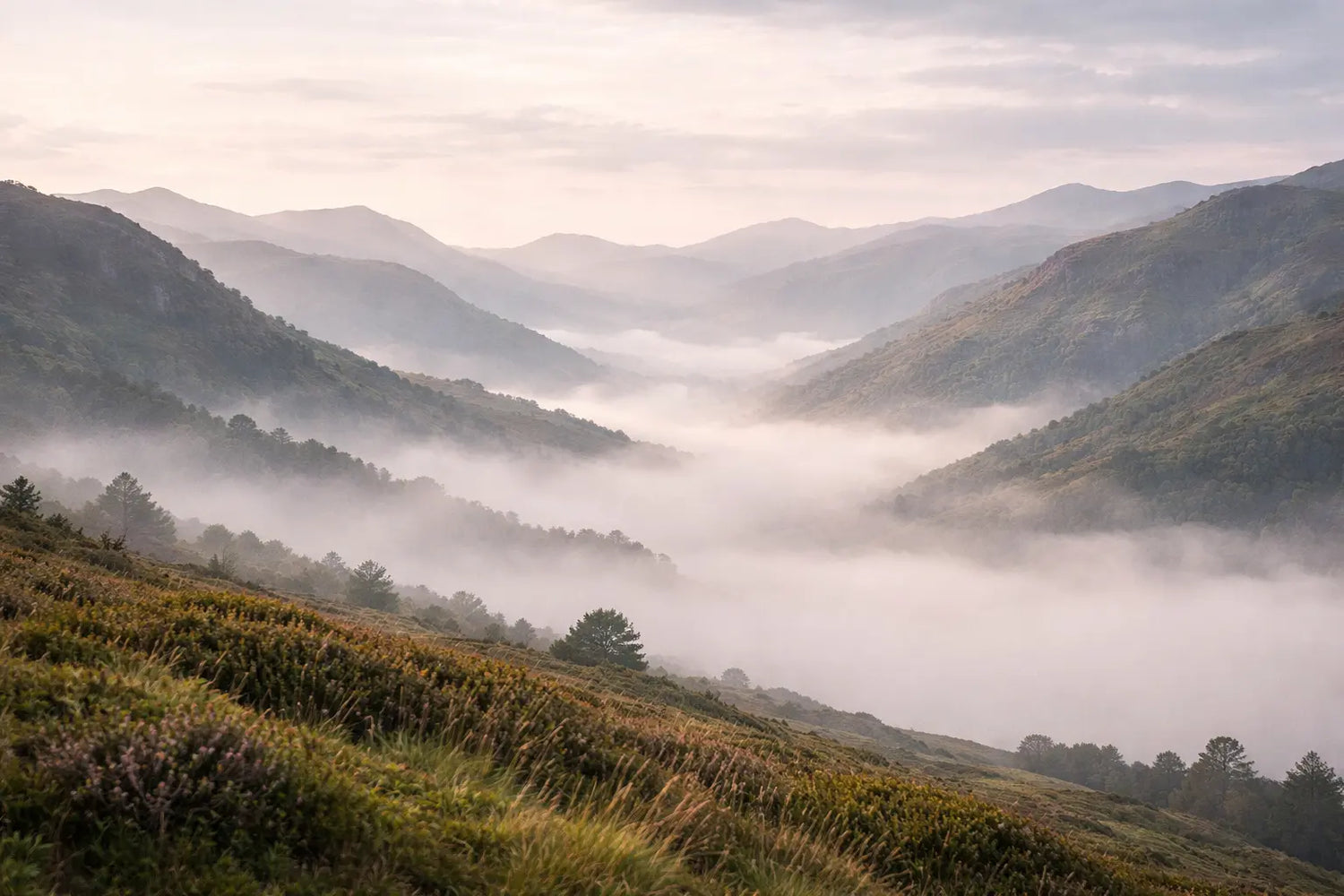 Non-stop-dogwear-UK-Performance-Dog-Gear-Local-Stockist Wiggle and Wag