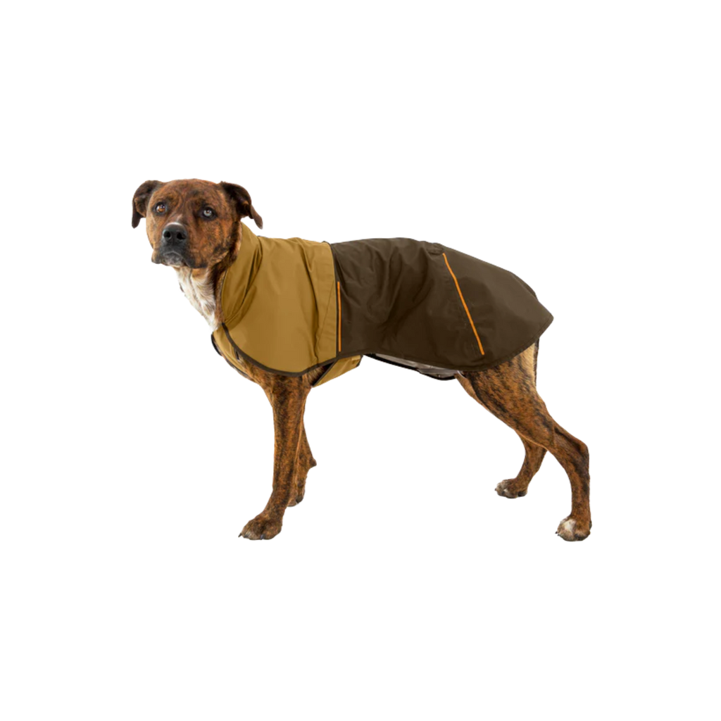 Dog wearing a brown and beige coat on a white background