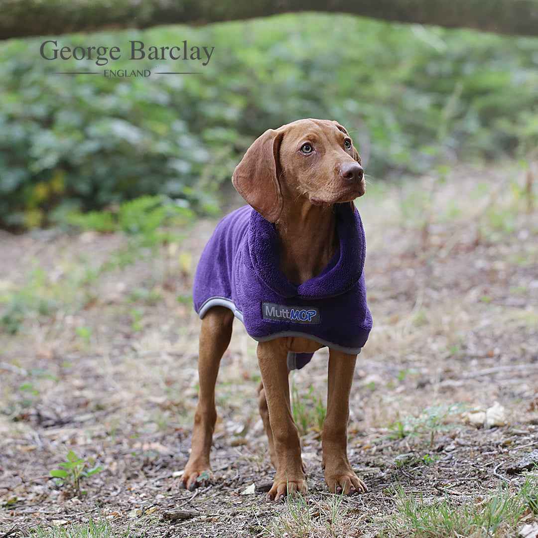 George Barclay MuttMOP® Dog Drying Robe