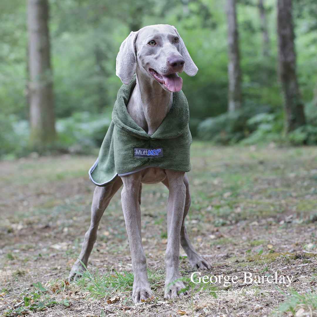 George Barclay MuttMOP® Dog Drying Robe