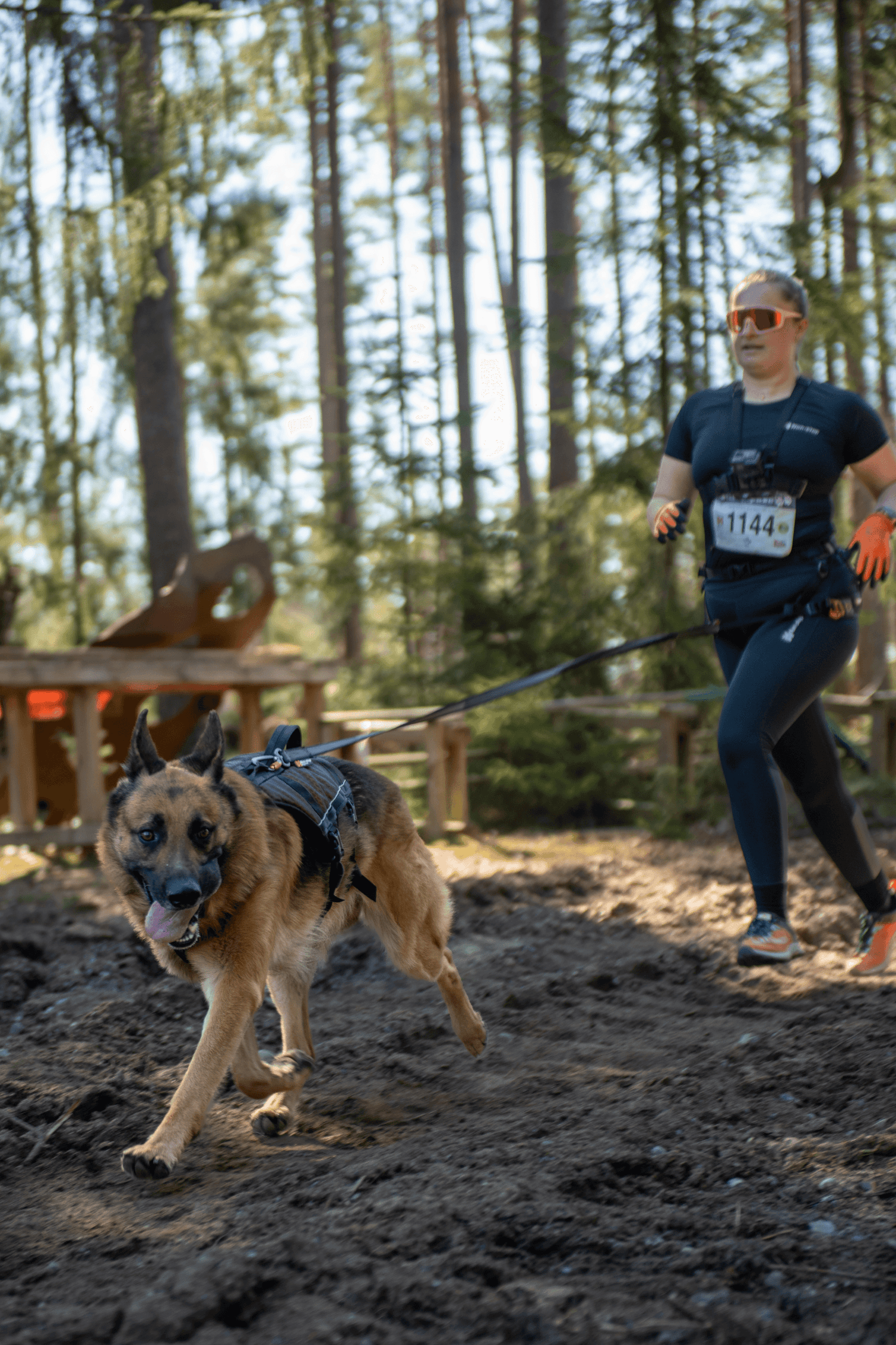 Non-stop dogwear Rock Harness Long - Long Dog Harness