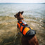 Non -stop dogwear Life Jacket 2.0 - Life Jacket for Dogs