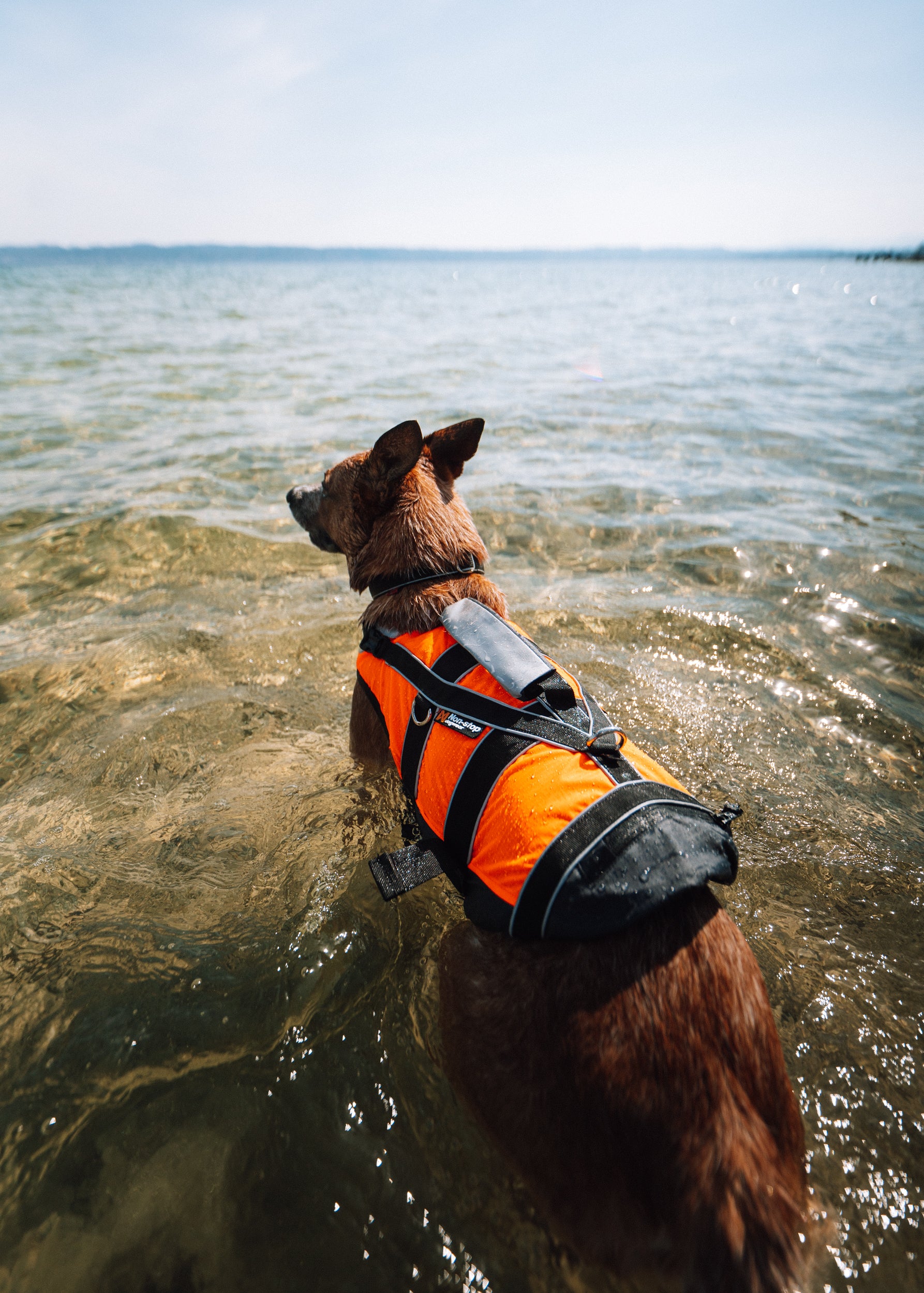 Non -stop dogwear Life Jacket 2.0 - Life Jacket for Dogs