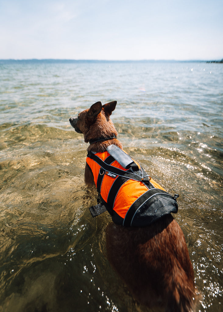 Non-stop dogwear Safe Life Jacket 2.0 - Life Jacket for Dogs