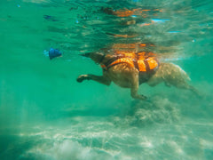 Non-stop dogwear Safe Life Jacket 2.0 - Life Jacket for Dogs