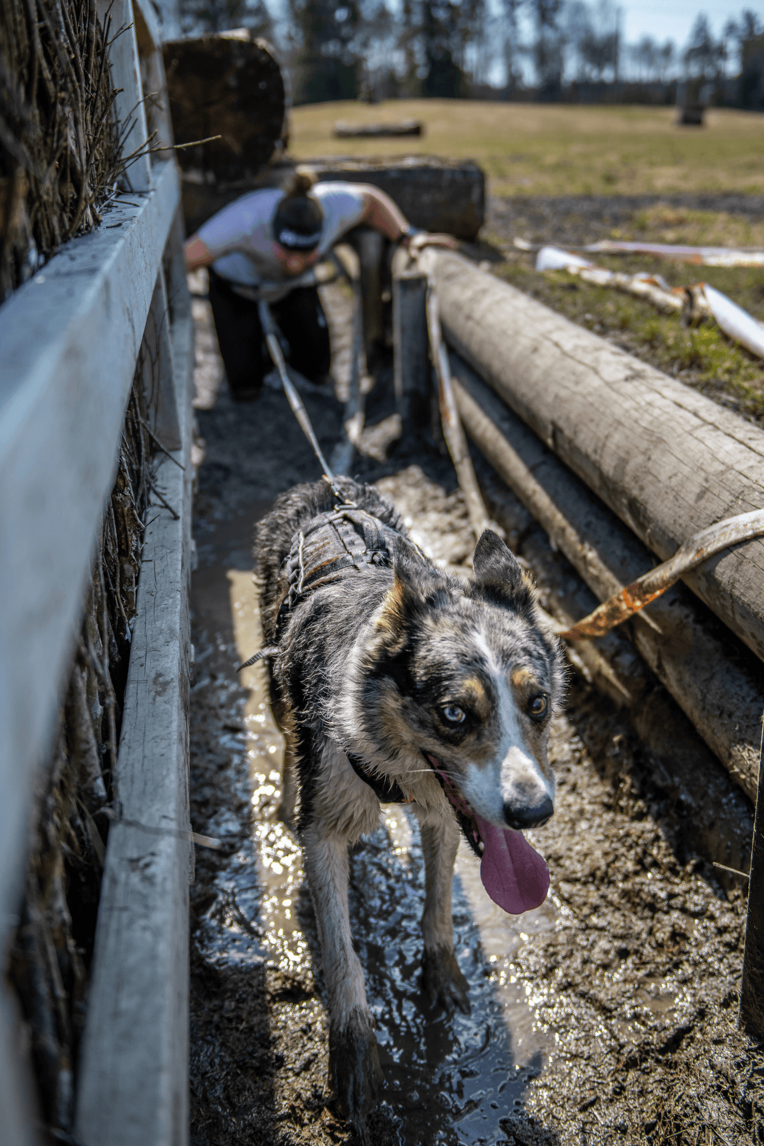Non-stop dogwear Rock Harness Long - Long Dog Harness