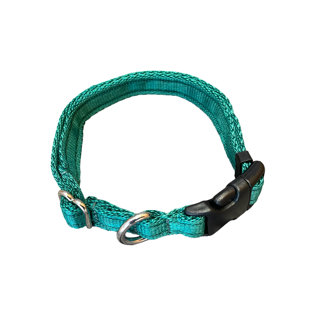 Adjustable Dog Collar - Green