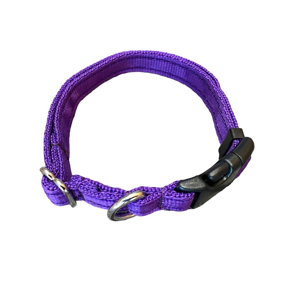 Adjustable Dog Collar - Purple