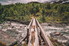 Dog crossing wooden bridge over river using Non-stop Dogwear Bungee Leash, perfect for hiking and outdoor exploration with secure control.