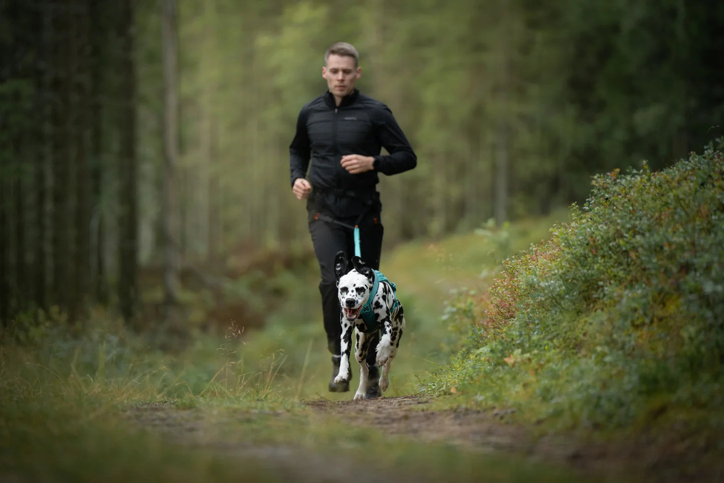 Non-stop dogwear CaniX belt 3.0