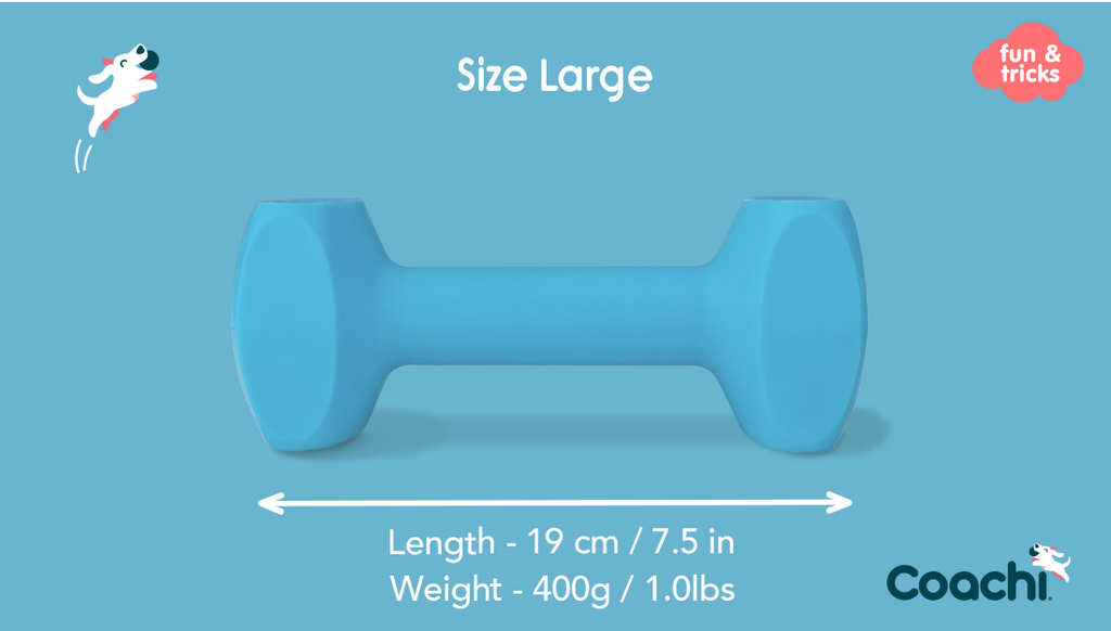 CoA Coachi Training Dumbbell large