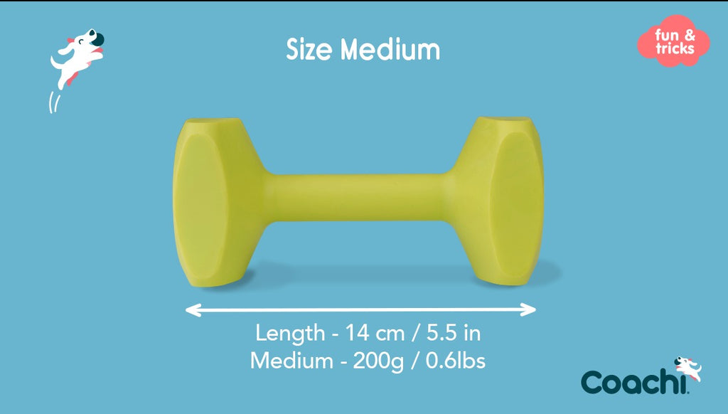 CoA Coachi Training Dumbbell medium