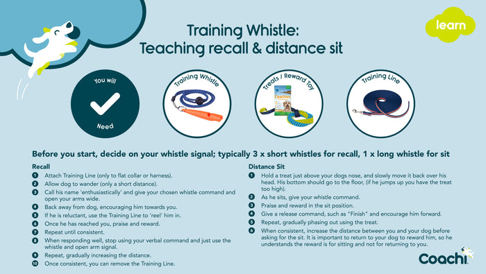 CoA Coachi Training Whistle