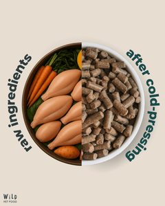 Comparison of raw ingredients and Wild Pet Food Chicken cold-pressed pet food in a bowl on a beige background.